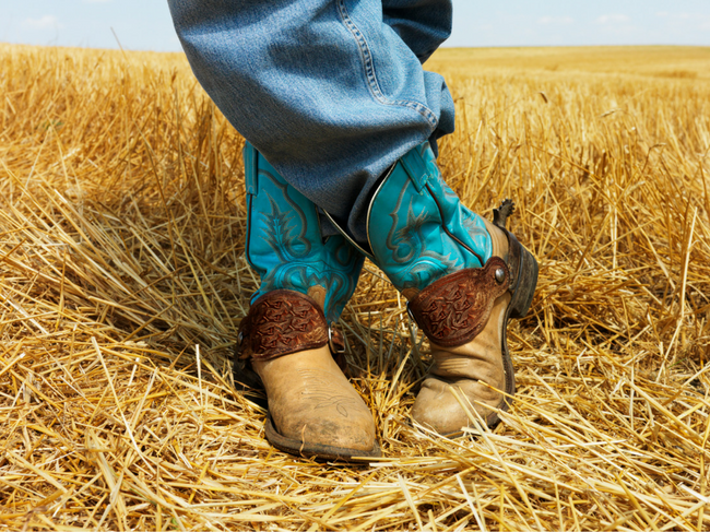 5 Ways to Find Your Inner Cowboy at the Verint Engage18 Conference