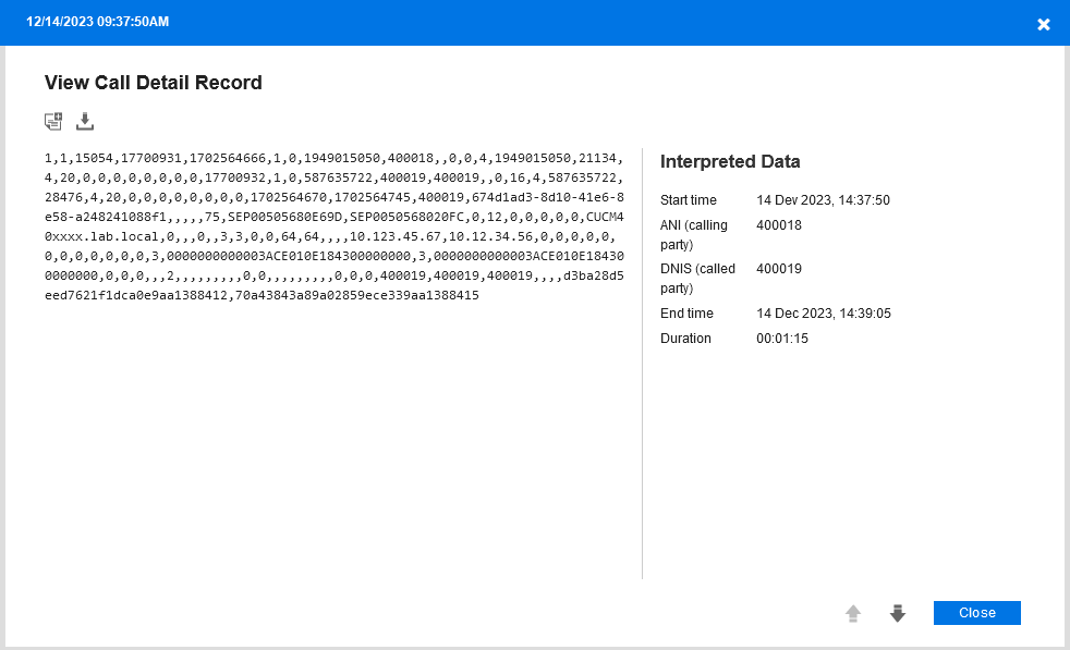 Capture Verification View Call Detail Record menu